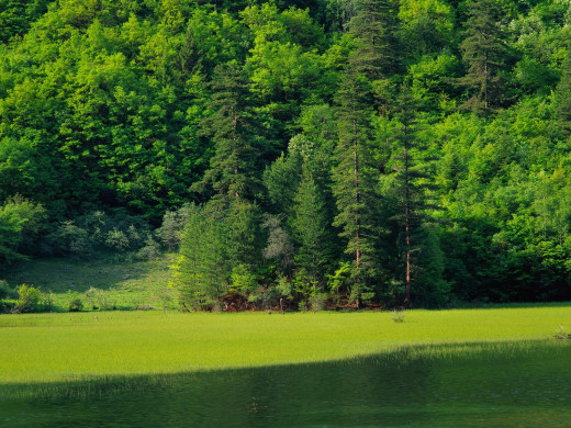 40909 (a): :1600x1200